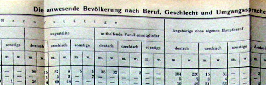 výsledky sčítání lidu 1910 pro město Brno